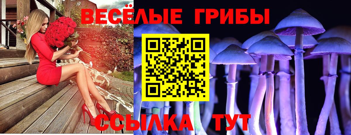 Псилоцибиновые грибы Psilocybine cubensis Набережные Челны